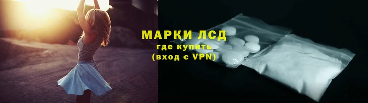 стафф Алзамай