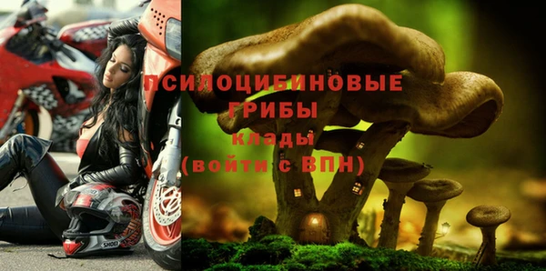 прущие крисы Абдулино