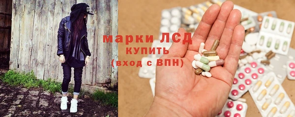 стафф Алзамай