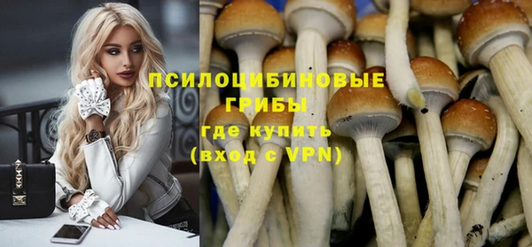 стафф Алзамай