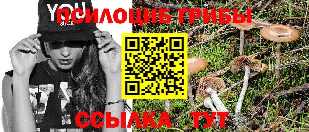 Псилоцибиновые грибы Magic Shrooms  Вход с VPN  Сочи 